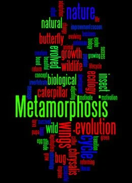 Metamorphosis, word cloud concept Stock Illustration