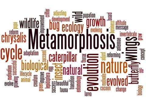 Metamorphosis, word cloud concept Stock Illustration