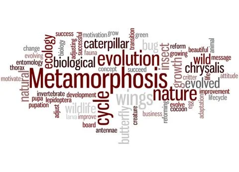 Metamorphosis, word cloud concept Stock Illustration