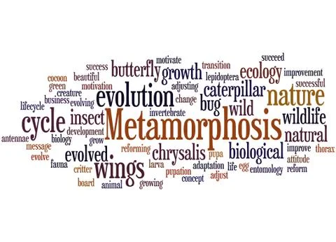 Metamorphosis, word cloud concept Stock Illustration