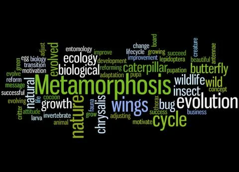 Metamorphosis, word cloud concept Stock Illustration