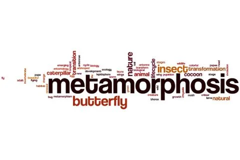 Metamorphosis word cloud Stock Illustration