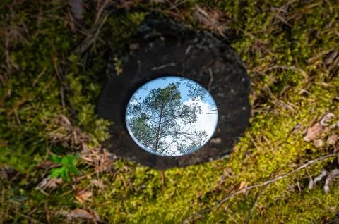 Metaphor and concept of deforestation. A reflection of forest, pines and bl.. Stock Photos