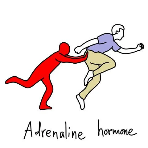 Metaphor function of adrenaline hormone is to make human body run faster vect Stock Illustration