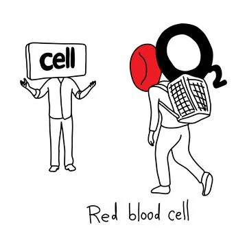 Metaphor function of red blood cell to transport oxygen to body cells vector Stockillustratie