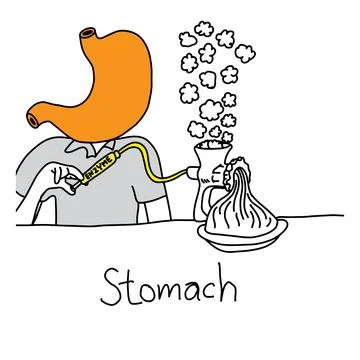 Metaphor function of stomach to secrete acid and enzymes that digest food vec Stock Illustration
