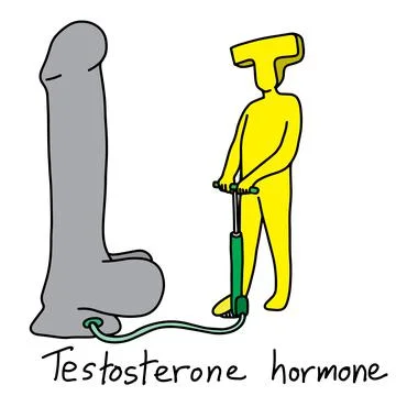 Metaphor function of testosterone hormone is to make sexual desire of man vec Stock Illustration