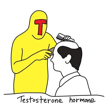 Metaphor function of testosterone hormone is to make human bald vector illust Stock Illustration