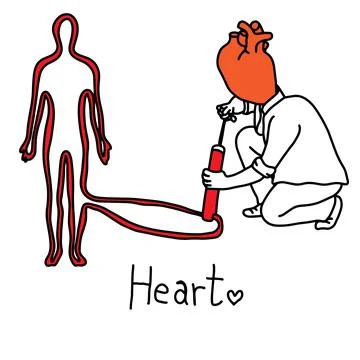 Metaphor main function of human heart is to propel blood throughout the body Stock Illustration