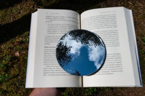 Metaphor. Reading is like growing a tree Stock Photos