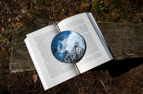 Metaphor. Reading is like growing a tree Stock Photos