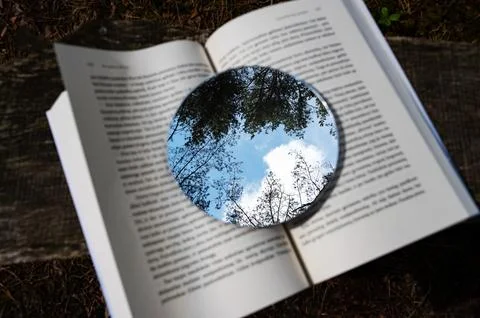 Metaphor. Reading is like growing a tree Stock Photos