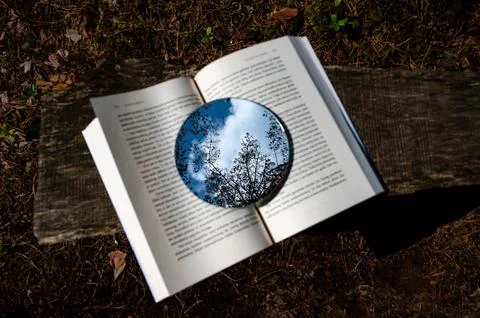 Metaphor. Reading is like growing a tree Stock Photos