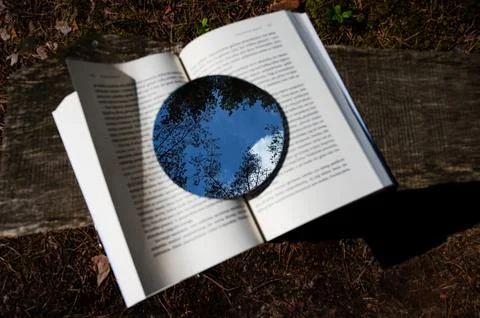 Metaphor. Reading is like growing a tree Stock Photos
