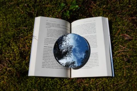 Metaphor. Reading is like growing a tree Stock Photos