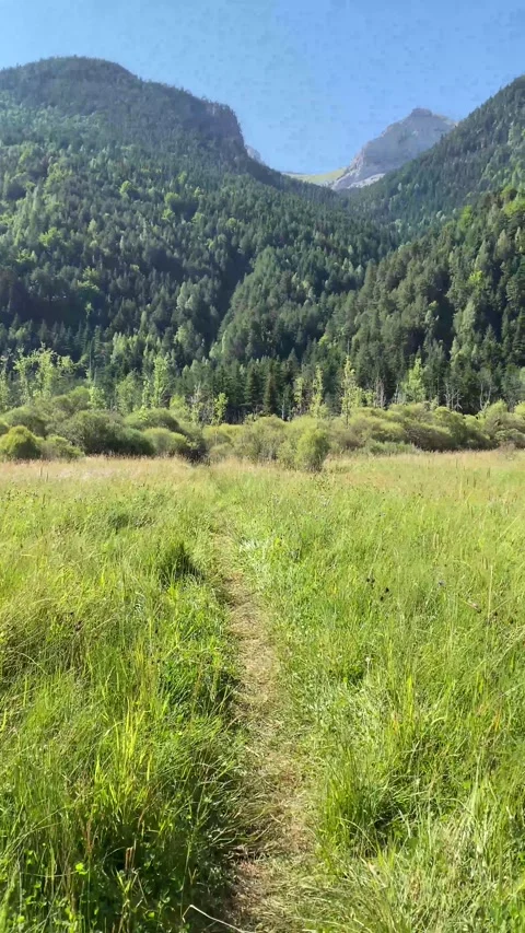 Metaphor roads mountain nature  future decision change lifestyle subjective Stock Footage 161817012