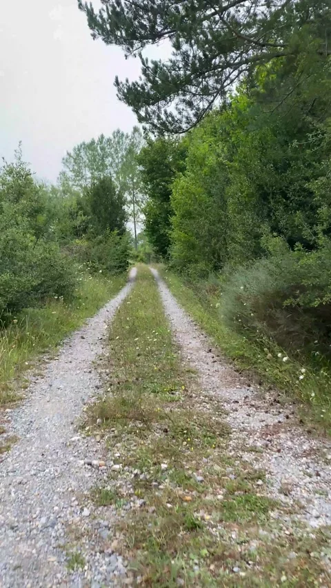Metaphor roads mountain nature  future decision change lifestyle subjective Stock Footage 161817206