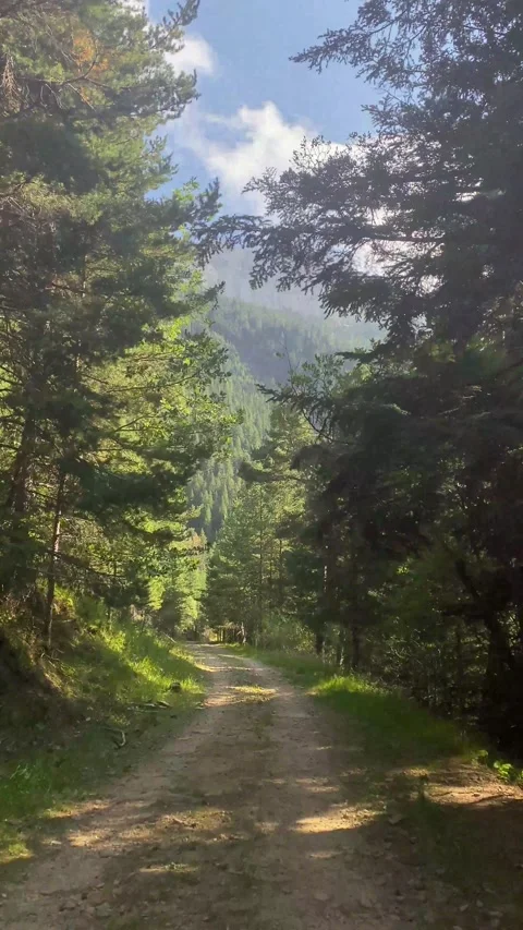 Metaphor roads mountain nature  future decision change lifestyle subjective Stock Footage 161817453