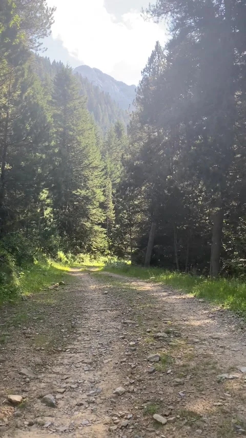 Metaphor roads mountain nature  future decision change lifestyle subjective Stock Footage 161817760