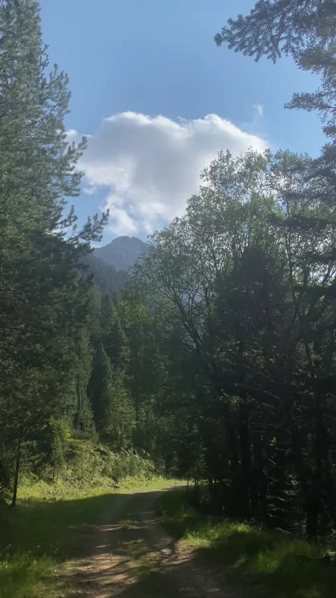 Metaphor roads mountain nature  future decision change lifestyle subjective Stock Footage 161817896