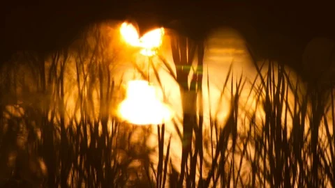 Metaphysical sunrise reflected in water Stock Footage 115964014