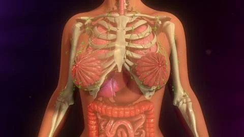 Metastasis Infection Illustrazione stock