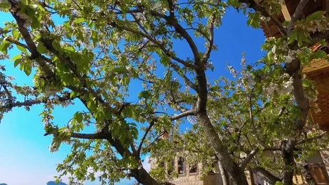 Meteora, Greece Video stock 77829346