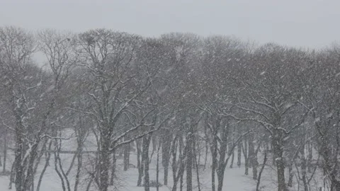 Meteorology, types of precipitation. Sheet of snow. Thick heavy snow - snow Stock Footage 165147664
