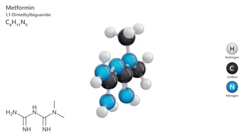 Metformin. Antidiabetic medication. 3D model. C4H11N5. White back. 3D render Vídeo Stock 292651049