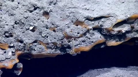 Methane and Methane Hydrate Stock Footage 113235084