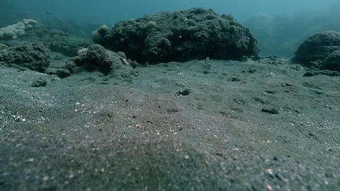 Methane Bubble Columns Rising from Seafloor at Bubble Beach Stock Footage 338362015
