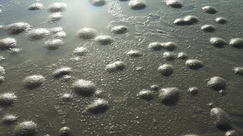 Methane bubble. gas is released from silt of reservoir Stock Footage 341663459