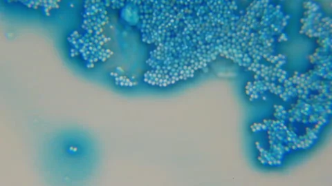 Methane (CH4) production. Methane is produced by bacteria as a result of anaerob Stock Footage 268488794