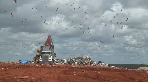 Methane Factory Garbage Dump With Seagulls Stock Footage 54711694