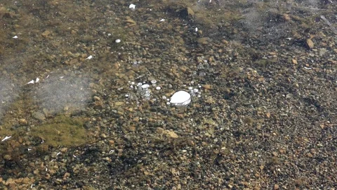 Methane gas bubbles stay trapped inside clear frozen lake ice - Gas Entrapment Stock Footage 339817834