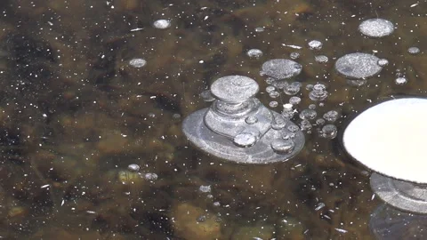Methane gas bubbles trapped in frozen lake ice - Solid Water and Organic Detail Stock Footage 339792019