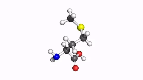 Methionine molecule, rotating model 스톡 동영상 79799671