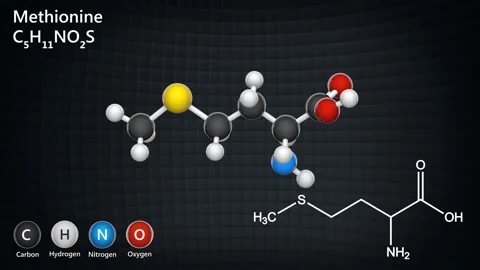 Methionine. Seamless loop. Stock Footage 152764754