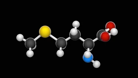 Methionine. Seamless loop. RGB + Alpha (Transparent) channel. Stock Footage 152764762
