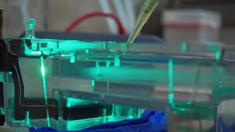 A method for studying the size of a DNA molecule Stock Footage 241075668