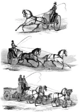  Methods of guiding horses by pulling on its reins Methods of guiding hors... Stock-Fotos