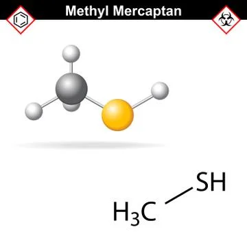 Methyl mercaptan molecule Иллюстрация