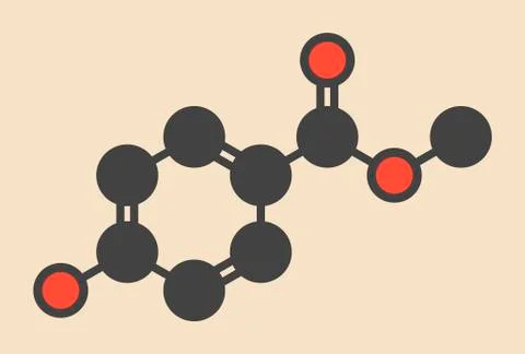 Methyl paraben preservative molecule Stock Illustration