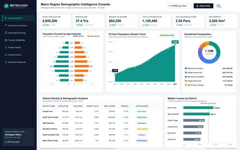 Metro Region Demographic Intelligence Console with Data Visualization Charts Stock Illustration