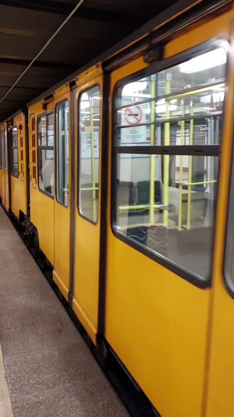 Metro Train Arrival Short Video Video stock 253224144