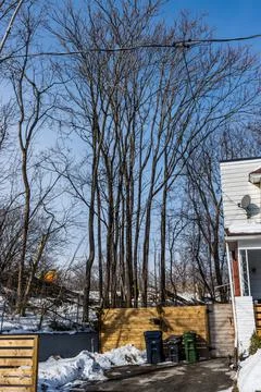 MetroLinx cutting down tree at Jimmy Simpson Park Rail Corridor Stock Photos