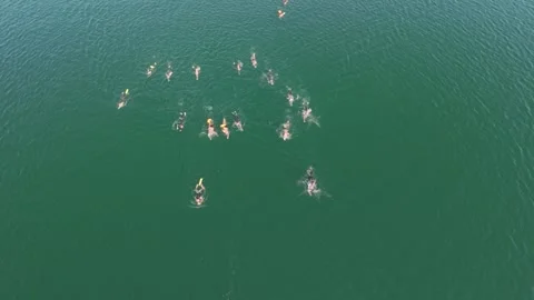 Metrópoles Endurance 2025 — 3K Open Water Swim in Brasília Stockbeeldmateriaal 313888317