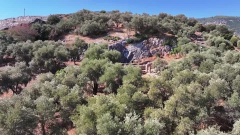 Metropolis ancient city Stock Footage 327094089