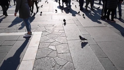 Metropolis square with pigeons and shadows of crowd Stock Footage 130124314