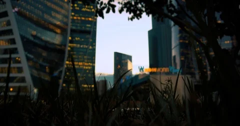 Metropolis Tower and trees Видео 96067743